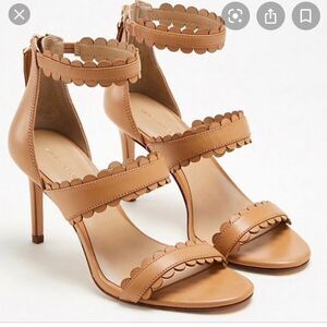 NIB Ann Taylor Raina Scalloped Heel